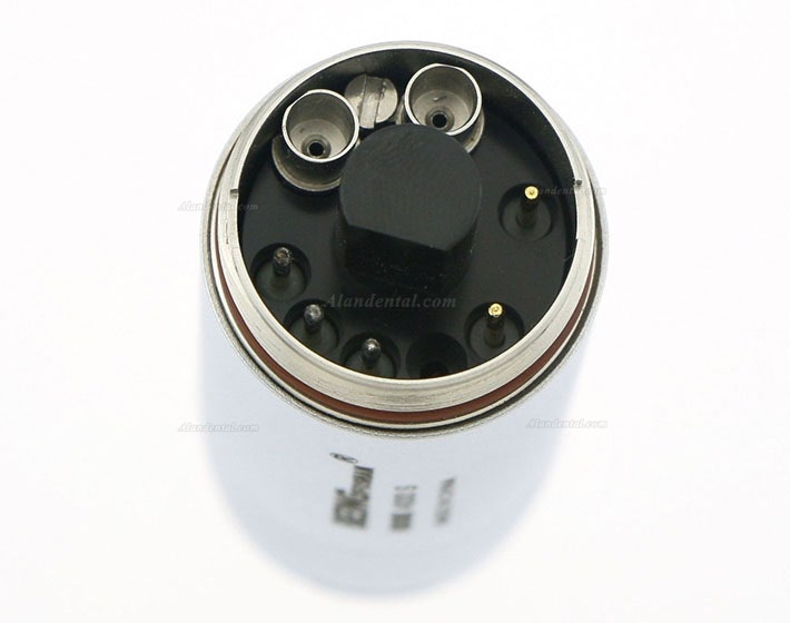 Being® Brushless Rose 4000W LED Electrical Micro motor